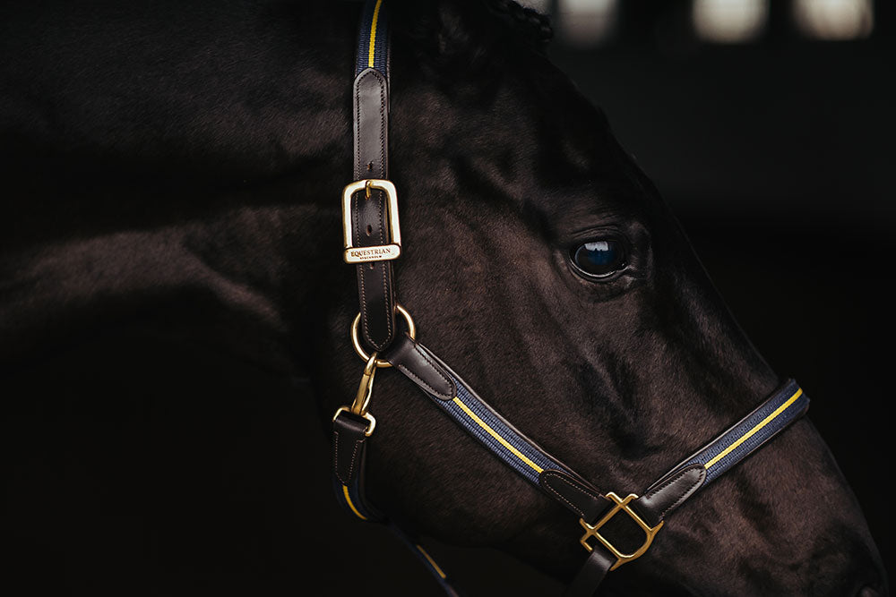 Leather Halter & Lead Chain Equestrian Stockholm Leather Halter & Lead Chain detalle 4