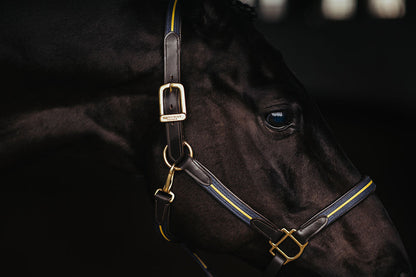 Leather Halter & Lead Chain Equestrian Stockholm Leather Halter & Lead Chain detalle 4