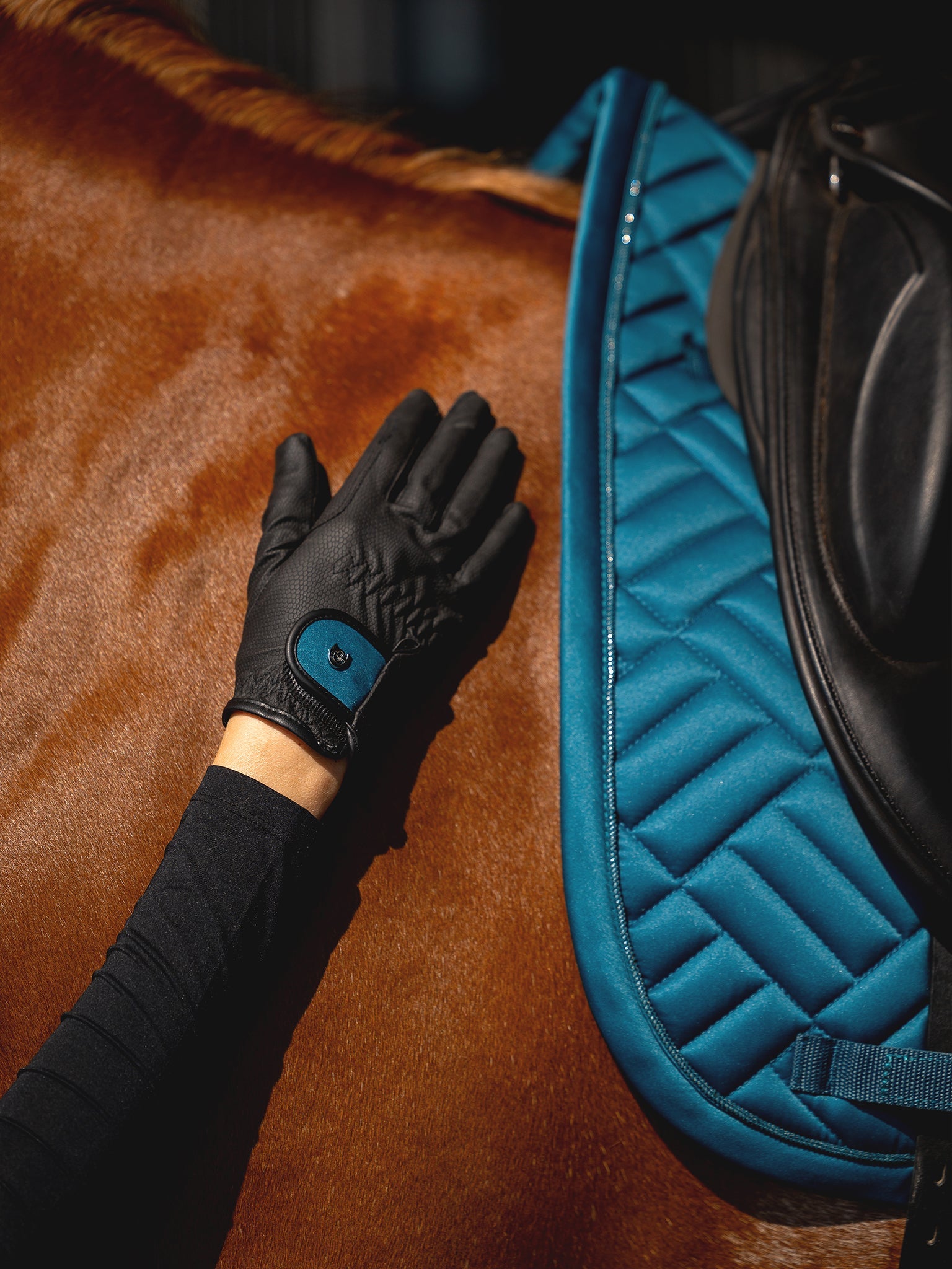 Riding Gloves Motion Equestrian Stockholm Riding Gloves Motion Teal Blue detalle 3
