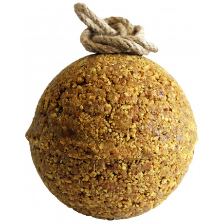 Alimento complementario - Elyte - Unika