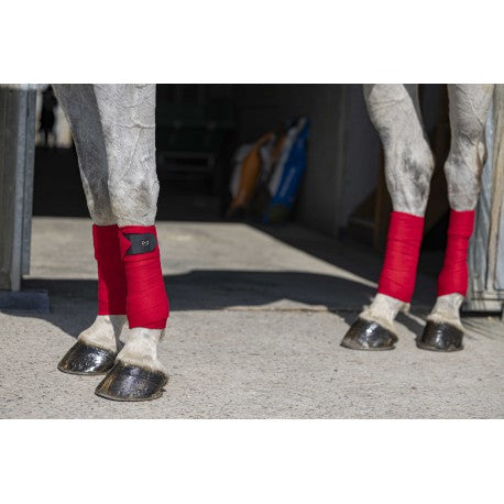 Venta de polos - Eco - Riding World