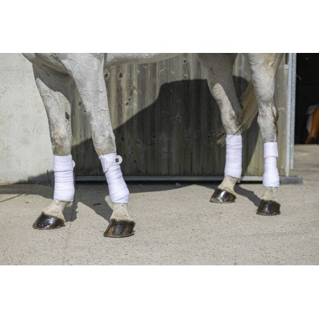 Venta de polos - Eco - Riding World