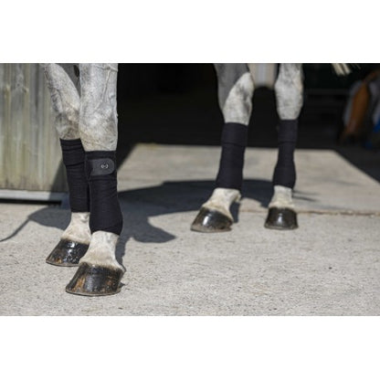 Venta de polos - Eco - Riding World